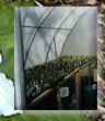 12 Foot Mini Greenhouse - Inside
