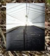 24 Foot Greenhouse with Roll-ups and Ground Cover